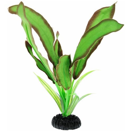 Растение для аквариума Barbus 'Эхинодорус Бартхи', шелковое, цвет: зеленый, коричневый, высота 20 см