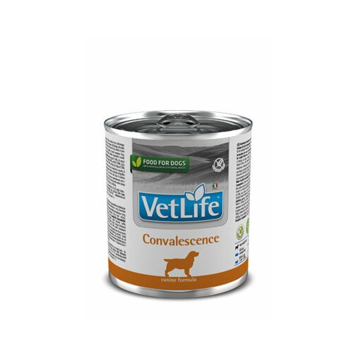 FARMINA вет. корма Консервы для собак в период выздоровления VET LIFE 10852 | Vet Life Convalescence 0,3 кг 41124 (4 шт)