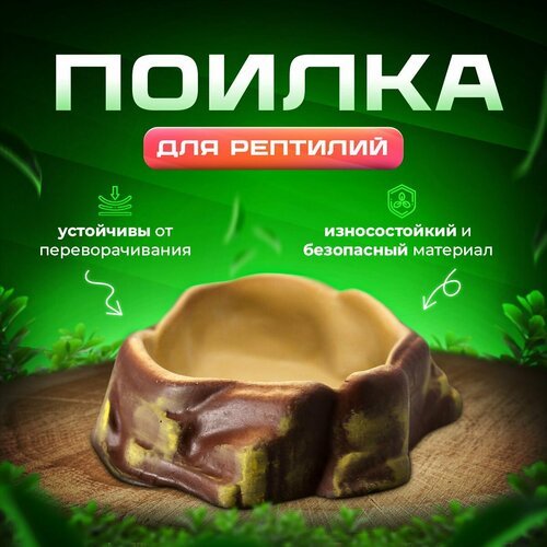 Поилка для террариума и рептилий Simple Zoo, 220х170х60 мм