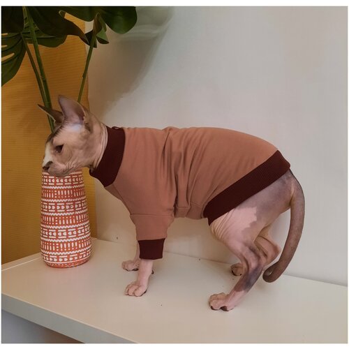 Толстовка для кошек, размер 30 (длина спины 30см), цвет розовая пудра/свитшот для кошек/для сфинксов/сфинкс/одежда для кошек