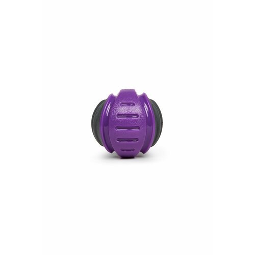 Мяч для собак с пищалкой из комбинированного материала, Играй Гуляй, размер S, цвет: черный + фиолетовый