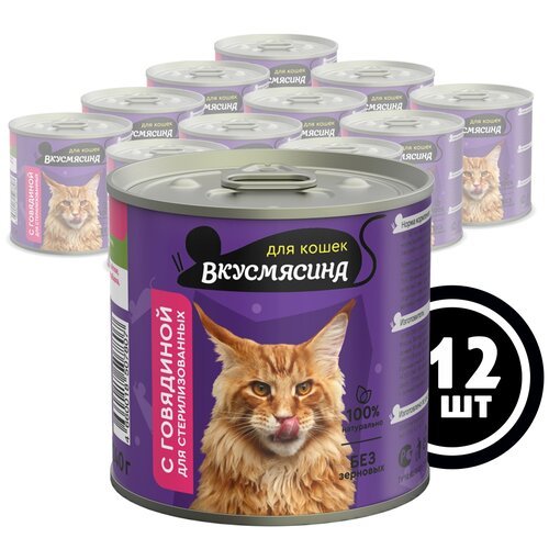 Влажный корм для кошек Вкусмясина Консервы для стерилизованных кошек с говядиной 12 шт. х 240 г (фарш)