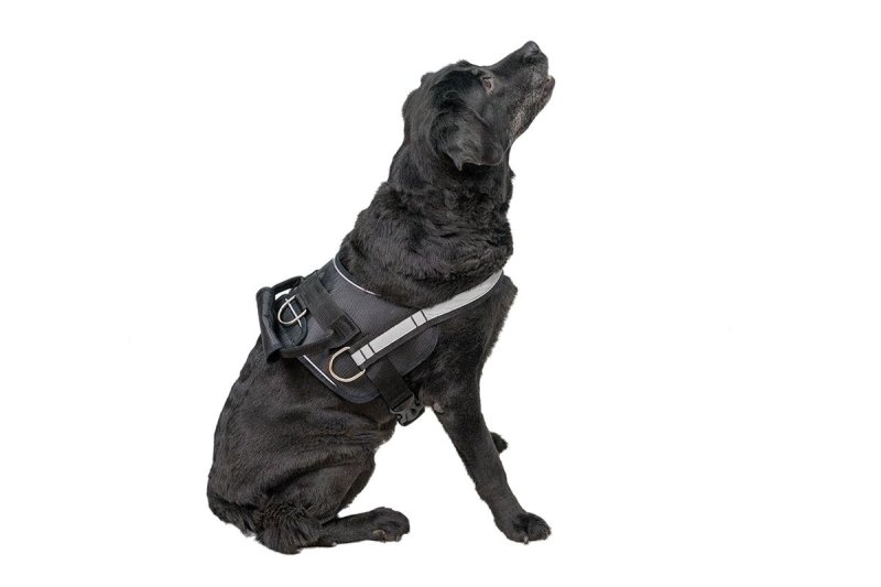 Yami-Yami амуниция Yami-Yami амуниция шлейка для служебных собак (тяговая) 'Kombo', черная (№1)