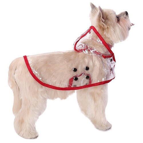 Дождевик для собак Монморанси 'Дождевик прозрачный', цвет: красный, размер S, длина спины 22 см.
