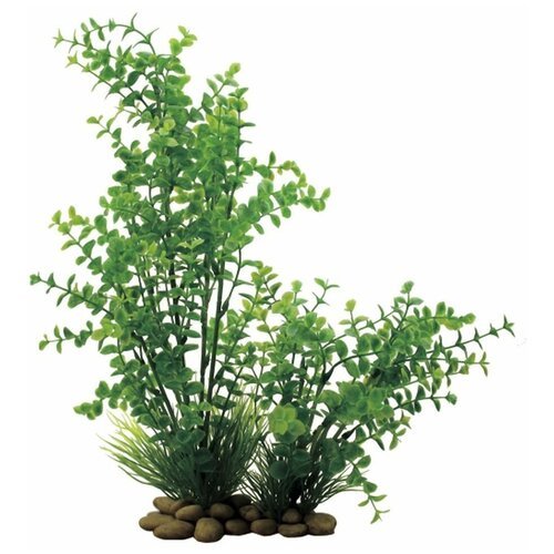 Искусственное растение ArtUniq Лизимахия 30 см 30 см зеленый