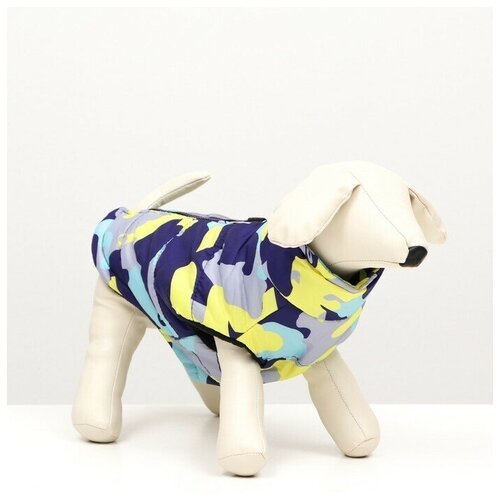Куртка для собак 'Цветной бум', размер S (ДС 25, ОГ 37, ОШ 26 см)
