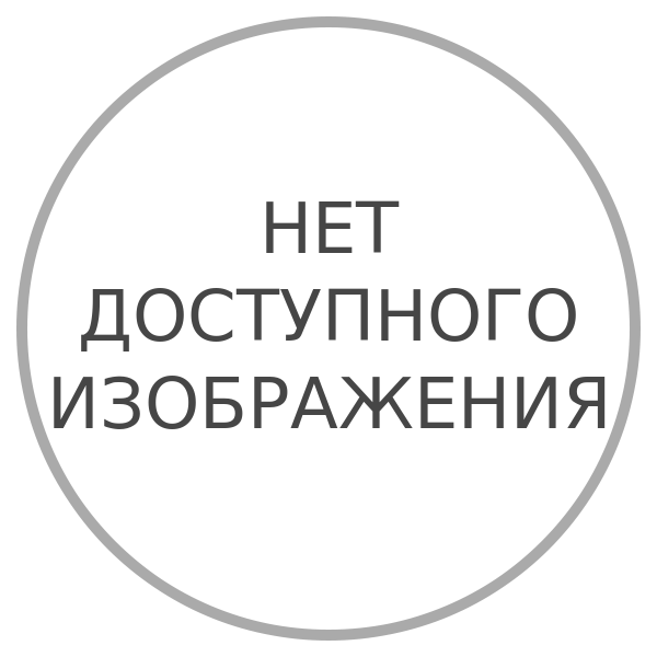 Кактус эхинокактус радуга D12 цвет и дизайн, в ассортименте, 20 см