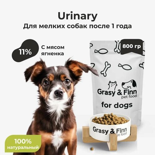 Grasy & Finn Сухой корм для стерилизованных собак мелких пород при МКБ, Ягненок, 800 г