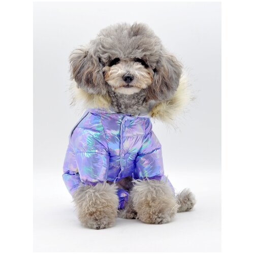 Куртка для собак фиолетовая теплая (Размер: XXL) грудь собаки 52 см; Длина спинки 36 см