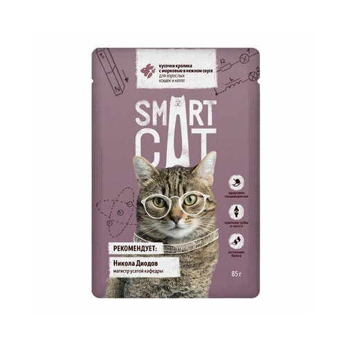 Smart Cat паучи Паучи для взрослых кошек и котят кусочки кролика с морковью в нежном соусе, 0,085 кг (40 шт)