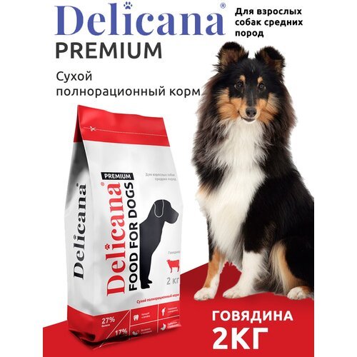 Сухой корм для собак Delicana говядина 1 уп. х 1 шт. х 2 кг (для средних пород)