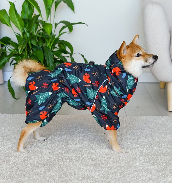 Tappi одежда Tappi одежда дождевик 'Сквирел' для собак (XL)