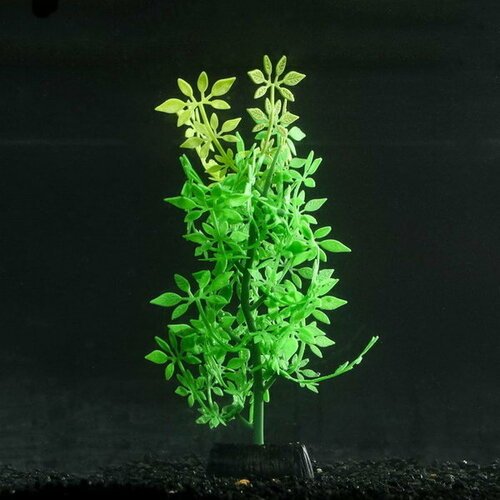 Растение силиконовое аквариумное, светящееся в темноте, 8 x 19 см, зелёное