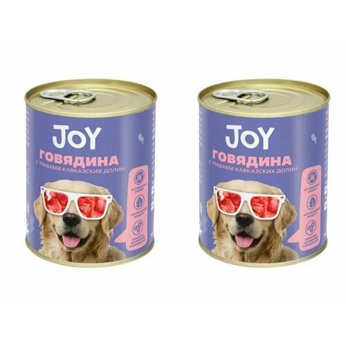 Joy Консервы для собак средних и крупных пород беззерновые Говядина с травами кавказских долин, 340 г, 2 штуки