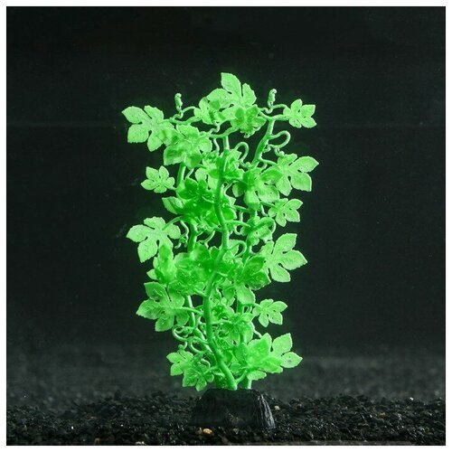 Sima-land Растение силиконовое аквариумное, светящееся в темноте, 6,5 х 18 см, зелёное