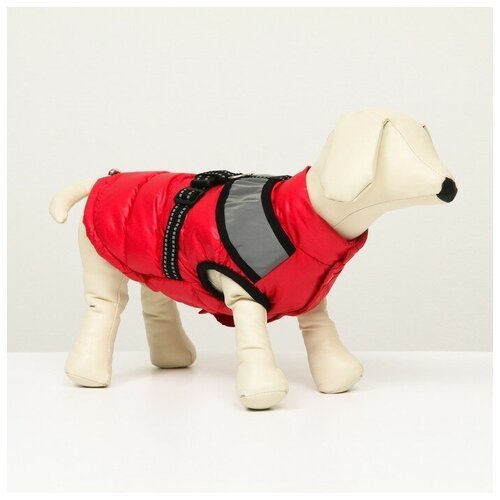 Куртка для собак со светоотражающей шлейкой, размер 8 (ДС 23 см, ОГ 30, ОШ 22 см), красная