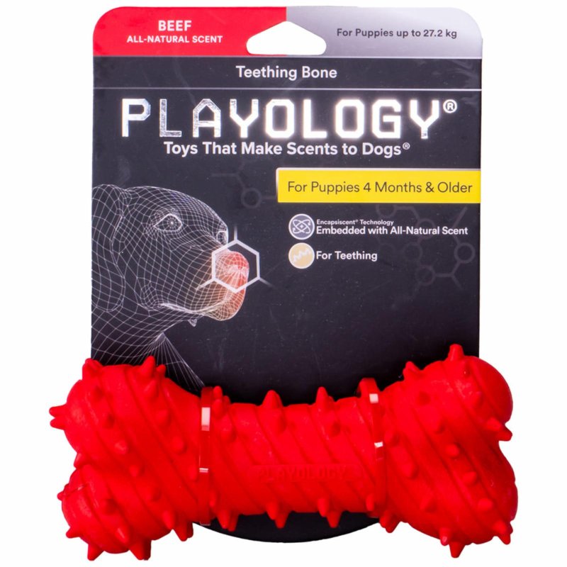 Playology Playology дентальная жевательная косточка Playology PUPPY TEETHING BONE для щенков 4-8 месяцев с ароматом говядины, цвет красный (220 г)