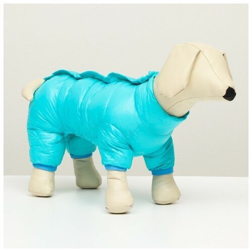 Комбинезон для собак КНР на кнопках, размер 8, спина 23 см, грудь 30, шея 22 см, голубой