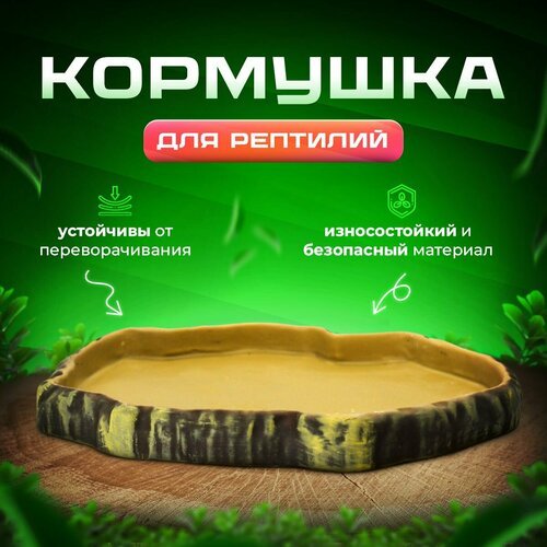 Кормушка для террариума и рептилий Simple Zoo, 245х200х27 мм