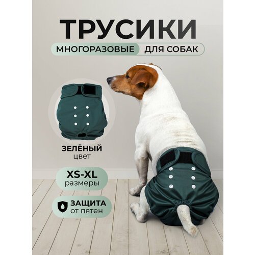 Многоразовые трусы для собак при течке, XL, зеленые