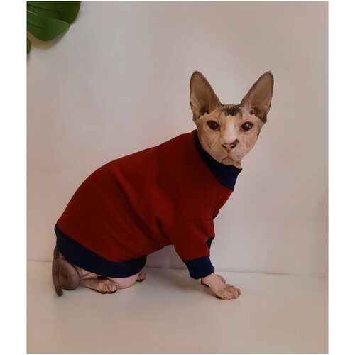 Толстовка для кошек, размер 40 (длина спины 40см), цвет бордовый/свитшот для кошек/для сфинксов/сфинкс/одежда для кошек
