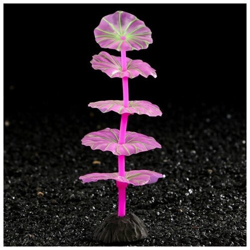 Растение силиконовое аквариумное, светящееся в темноте, 5 х 12,5 см, фиолетовое./В упаковке шт: 1