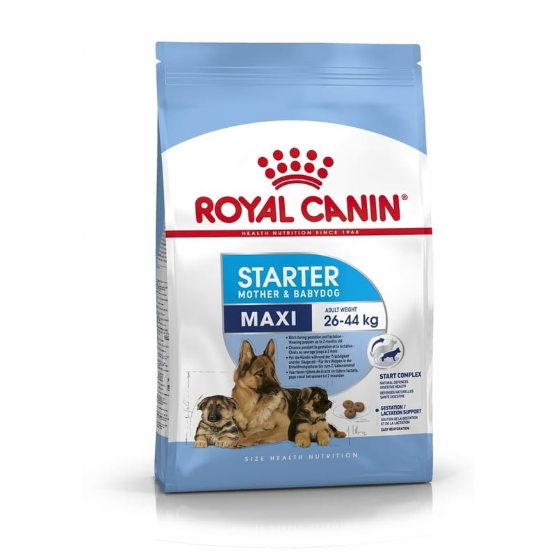 Royal Canin Maxi Starter Mother & Babydog полнорационный сухой корм для щенков до 2 месяцев, беременных и кормящих собак крупных пород