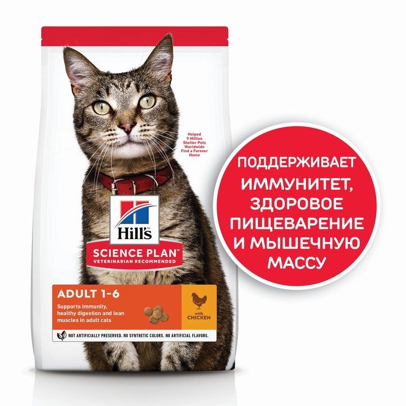 Hill's Science Plan Cat Chicken сухой корм для кошек для поддержания жизненной энергии и иммунитета, с курицей - 1,5 кг