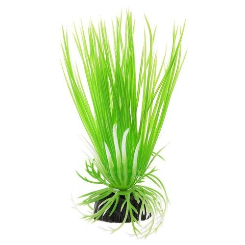 Растение для аквариума пластиковое Акорус зеленый, BARBUS, Plant 007 (10 см)