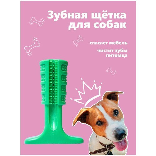 ГрызакЗубная щётка для собак Грызунок для Игрушки для Чистка клыков
