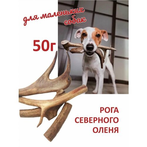 Рога северного оленя для мелких собак 50г.