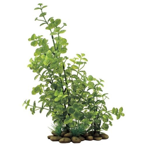 Искусственное растение ArtUniq Кардамин 30 см 30 см зеленый