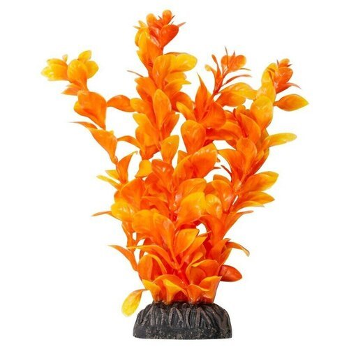 Растение Laguna Людвигия ярко-оранжевая для акариумов (20 см)
