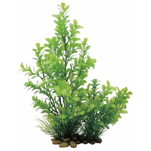 Искусственное растение ArtUniq Прозерпинака 30 см 30 см зеленый
