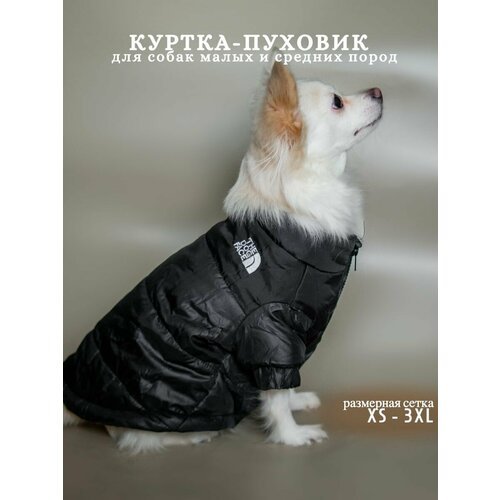 Куртка для собак зимняя, пуховик The dog face, одежда для собак. Размер M