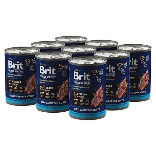 Brit Premium by Nature консервы с ягненком и гречкой для собак с чувствительным пищеварением, 9х410 г