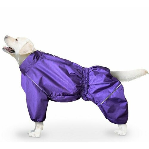 Дождевик на крупную собаку фиолетовый 5XL