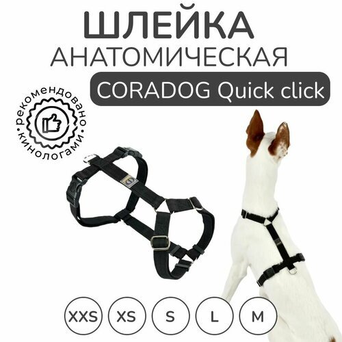Шлейка прогулочная анатомическая для средних пород собак, CORADOG Quick click, размер S, цвет черный