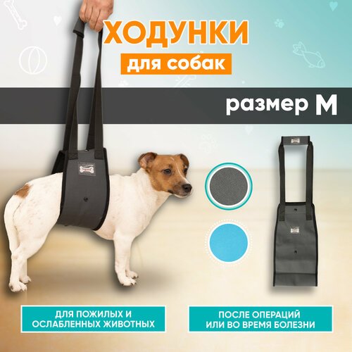 Задняя поддержка для собак Mr Dog серая, M