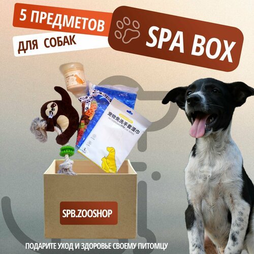 ZOO SPA BOX для собак, 5 предметов