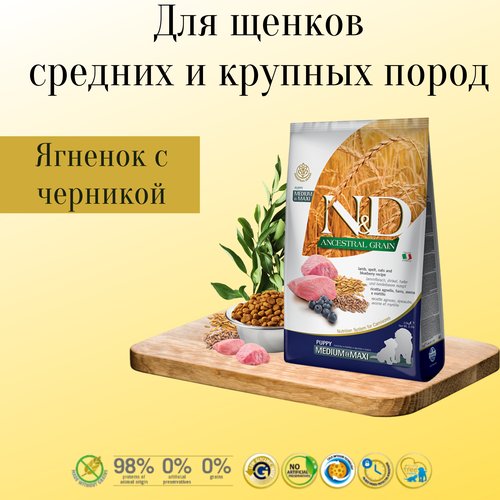 Farmina n&d ancestral grain низкозерновой корм для щенков MEDIUM/MAXI (ягненок с черникой)