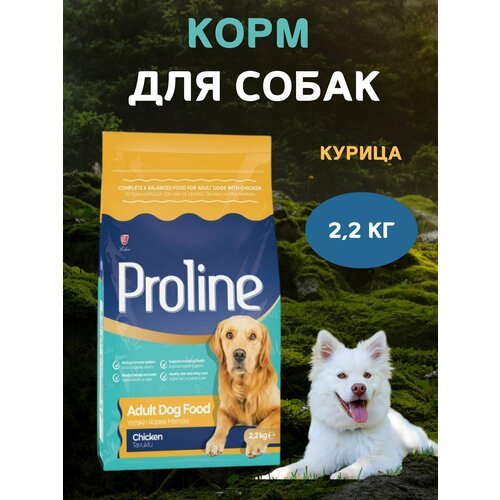 Сухой корм для собак, с курицей, PROLINE, 2,2 кг