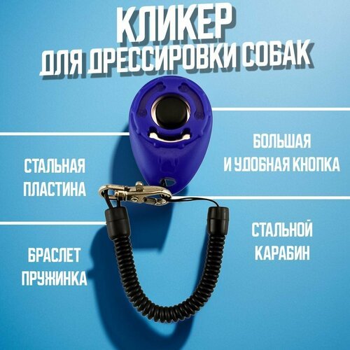 Кликер для дрессировки собак на браслете с карабином синий