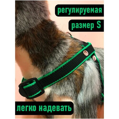 Шлейка для собак Petsare обхват груди 28-40 см, черный зеленый кант