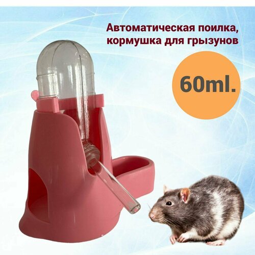 Поилка, кормушка для грызунов 60ml, розовая