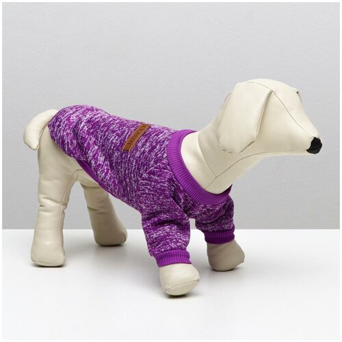 Свитер для собак, размер M (ДС 30, ОШ 30, ОГ 40 см), фиолетовый