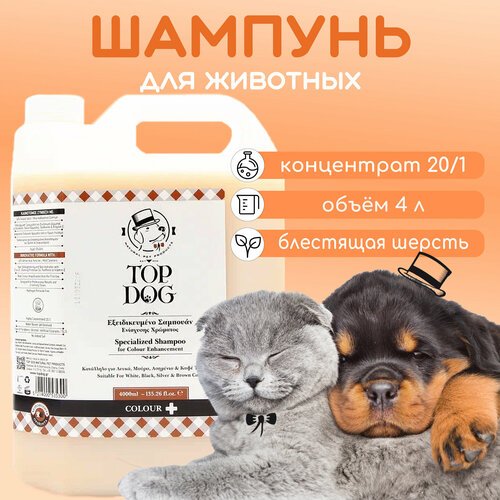 Шампунь для животных TopDog Colour Plus, 4 л