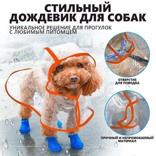 Дождевик для собак прозрачный с капюшоном, other, XL, оранжевый