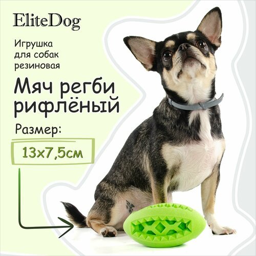 Игрушка для собак резиновая EliteDog 'Мяч регби рифлёный', зелёная, 13х7.5х7.5см