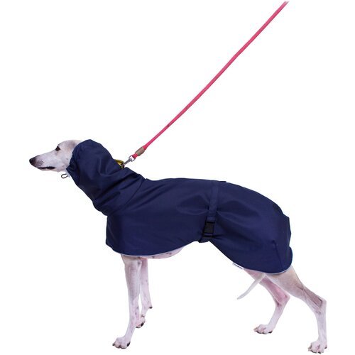 Дождевик для собак породы Уиппетов, синий, желтый, размер М2 .Дождевик для бесхвостых собак и с низкоопущенным хвостом